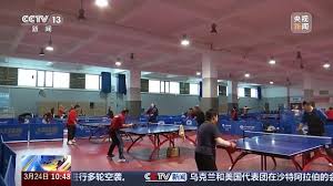 贝博体育 乒乓球台的长宽高尺寸是多少